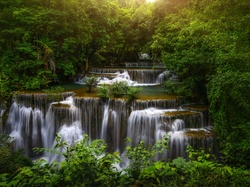 Kaskada, Prowincja Kanchanaburi, Tajlandia, Drzewa, Wodospad Erawan, Park Narodowy Erawan